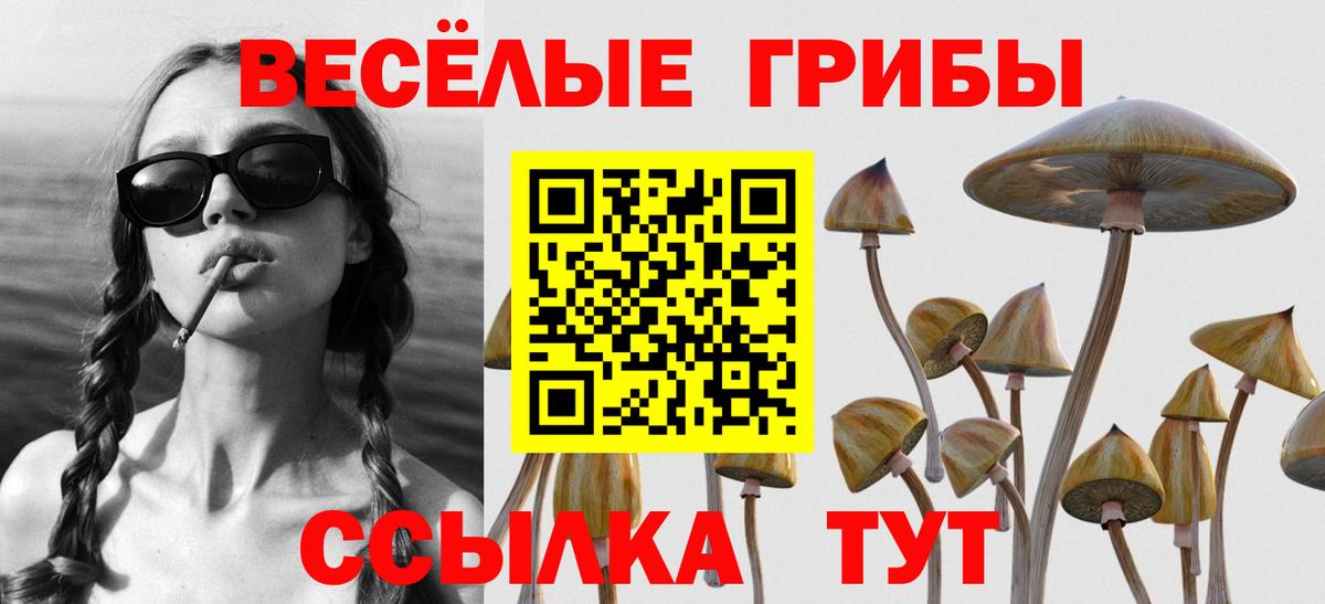 Псилоцибиновые грибы прущие грибы  Вход с VPN  Борзя  Псилоцибиновые грибы Psilocybine cubensis 